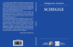 SCHEGGE